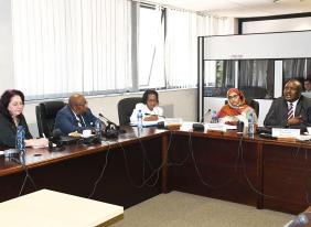 Pan-African Parliament and Africa Forum explore cooperation prospects