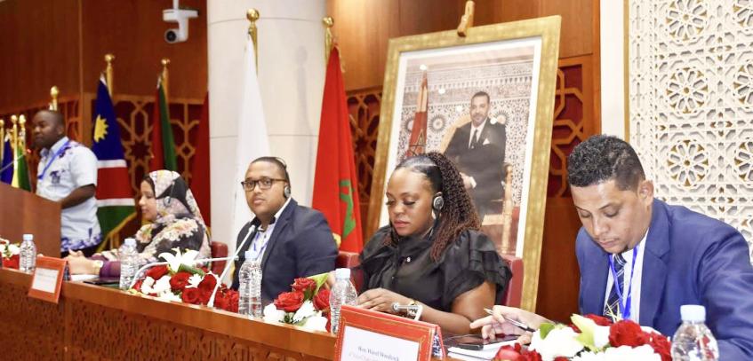 Young Parliamentarians probe the implementation of Agenda 2063 in Rabat