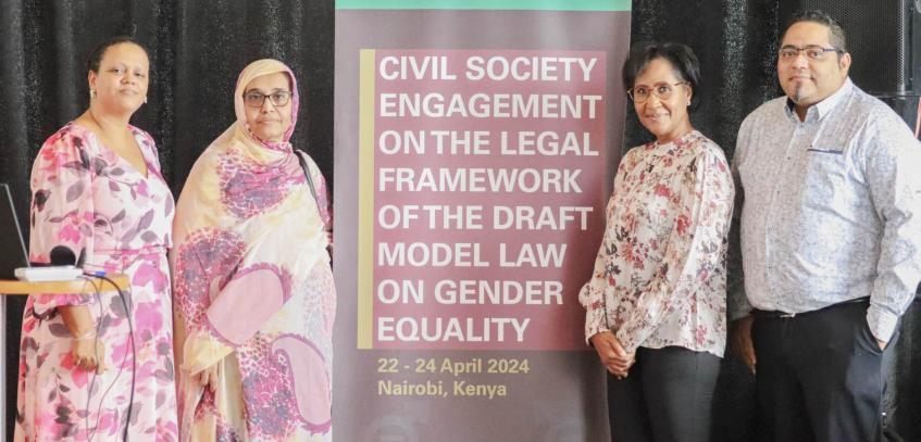 Pan-African Parliament moves one step closer to finalizing Landmark Model Law on Gender Equality and Equity
