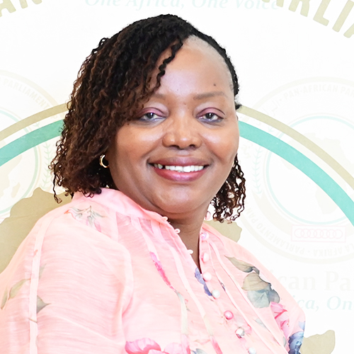 Hon. Rahab Mukami Wachira (Mrs)