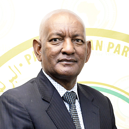 Hon. Dr. Ashebir Woldegiorgis Gayo