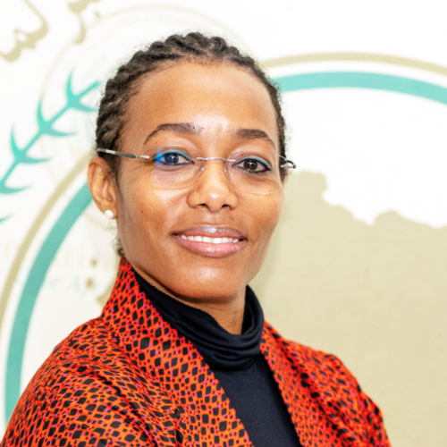 Second Vice-President of the Pan-African Parliament