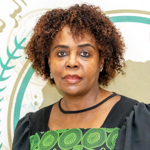 Fourth Vice-President of the Pan-African Parliament