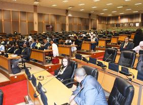 New members of the Pan-African Parliament