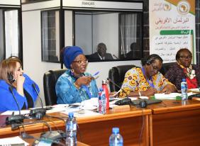 PAP establishes new Subcommittee to promote of ratification of African Model Law on Disability