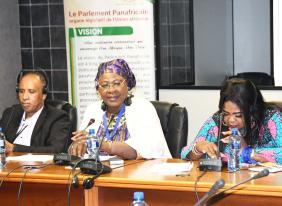PAP discusses Charter for African Cultural Renaissance