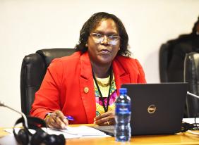 African Union Office of Internal Audit engages CAPA on its oversight function