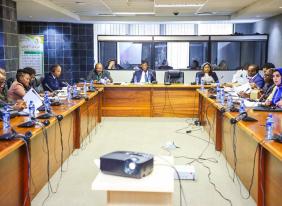 ECOSOCC- Pan-African Parliament collaborative effort praised as essential to promote free movement within the continent 