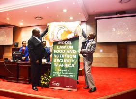 Pan-African Parliament unveils landmark Model Law on Food and Nutrition Security in Africa