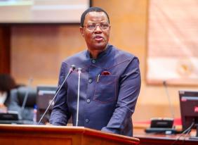 Pan-African Parliament Demands Swift Action to Promote Free Movement Across Africa