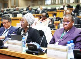 Pan-African Parliament Plenary Deliberates Legal Framework of Draft Model Law on Gender Equality and Equity