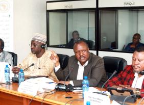 Pan-African Parliament Committees Adopt Key Reports at the Ongoing Fourth Ordinary Session of the Sixth Parliament