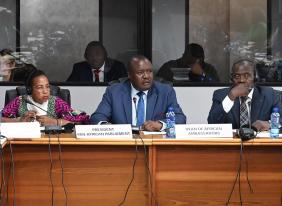 AU Must Prioritise People-Centered Issues and End Conflict, Says PAP President