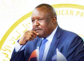 International Women’s Day Message from the PAP President