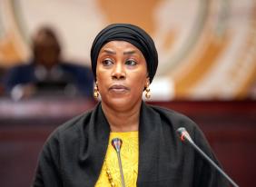 Pan-African Parliament Backs Ratification of AU Convention on Ending Violence Against Women and Girls