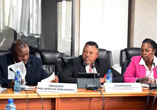 Pan-African Parliament Convenes Consultative Workshop to Review Its Rules of Procedure
