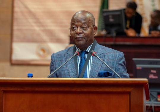 Pan-African Parliament Adopts Key Presentation on Reparative Justice, Advances African Union (AU) 2025 Theme