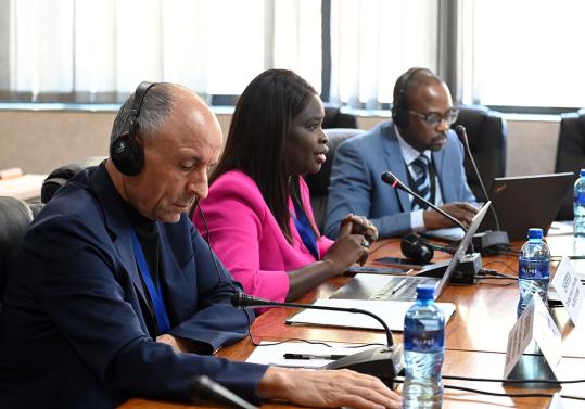 PAP Joint Committee Meeting Prepares for AU–EU Summit