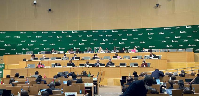 Executive Council celebrates the Pan-African Parliament