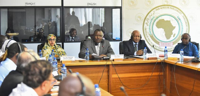 PAP President calls for a result-oriented approach to the work of Permanent Committees