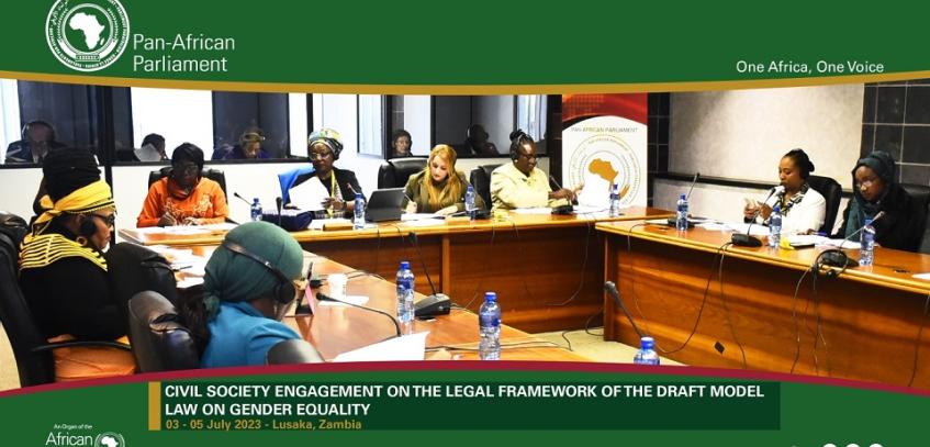 PAP Committee on Gender holds consultations