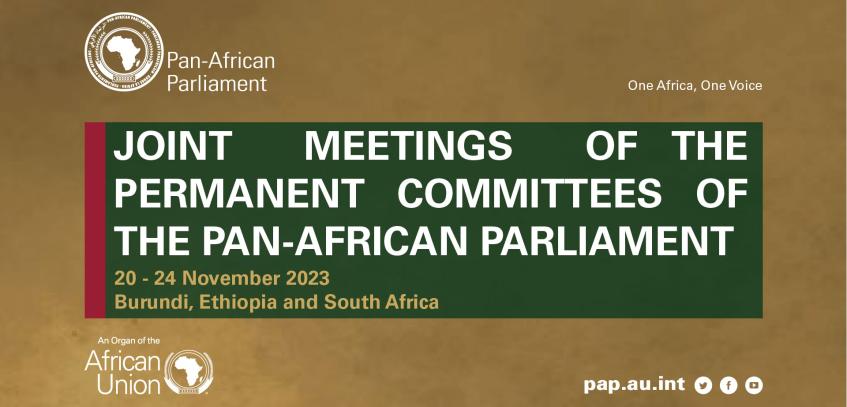 FINAL COMMUNIQUE FROM THE JOINT MEETING OF PERMANENT COMMITTEES OF THE PAN-AFRICAN PARLIAMENT