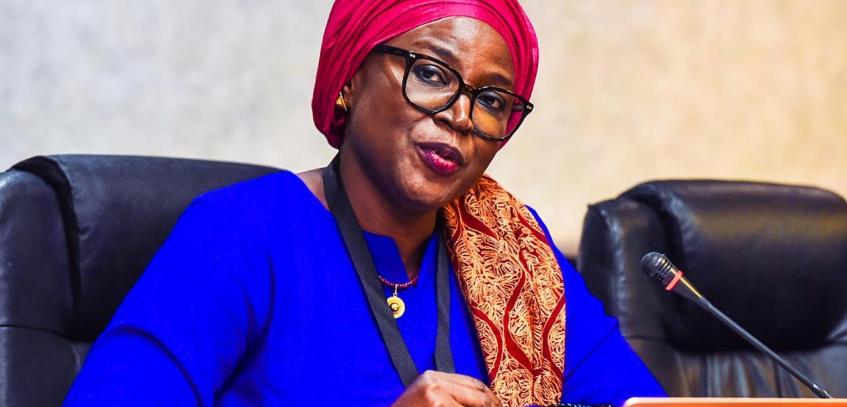Pan-African Parliament intensifies calls for collaboration in addressing systemic challenges: Gender Equality