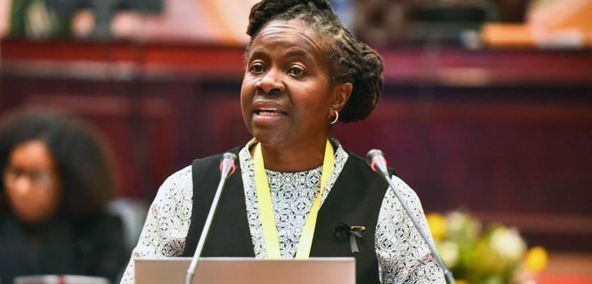 Pan-African Parliament-CSO Dialogue urges Ratification of AU Treaties
