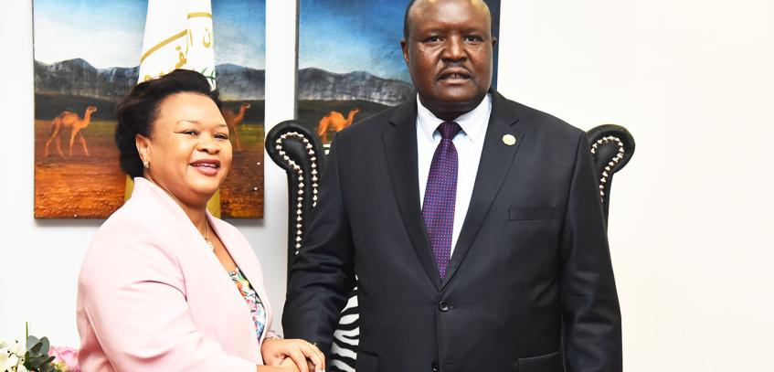 New APRM CEO pledges continued active collaboration with Pan-African Parliament on strategic priorities