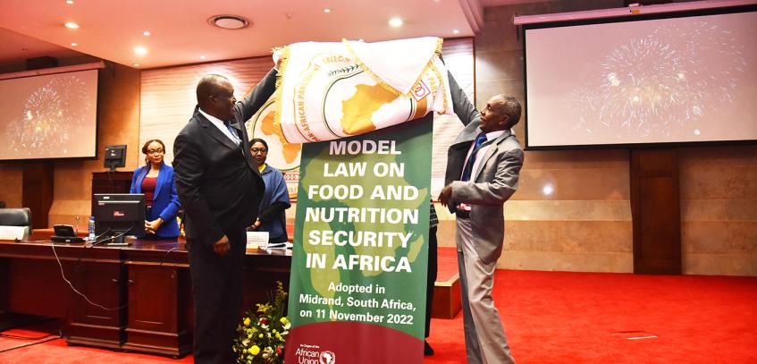 Pan-African Parliament unveils landmark Model Law on Food and Nutrition Security in Africa