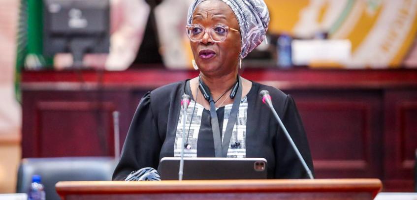 Continental Parliament advocates for strengthening African family values and social protection