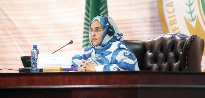 Pan-African Parliament resolves to intensify advocacy for the ratification of the Malabo Protocol 