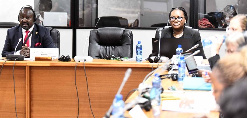 AFROPAC Seeks Partnership with Pan-African Parliament