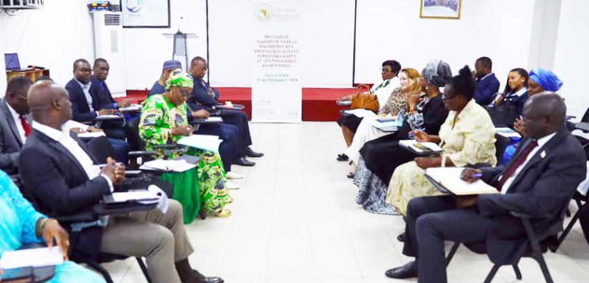 Côte d’Ivoire’s National Human Rights Council Tells Pan-African Parliament Delegation